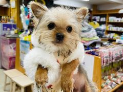 -爱侣宠医·鹦鹉专科·小型哺乳类·异宠专科(灵石路店)