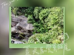 -神光山国家森林公园