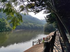 -滴水岩森林公园