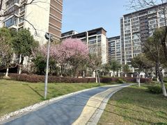 -映月湖中央公园
