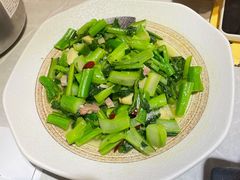 钵钵菜心-小肥猫餐厅(海宁万朵城店)