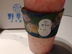 -野萃山·潮汕厚果汁(十亩地店)