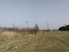 -漕湖湿地公园