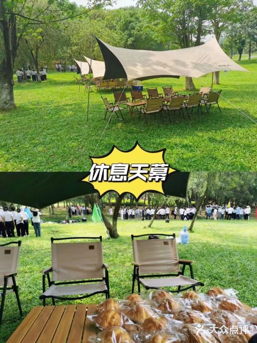 松山湖南湖湾露营营地图片