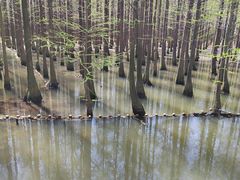 -尚湖风景区
