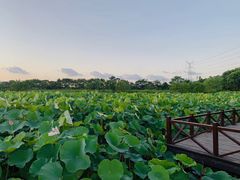 -梁鸿国家湿地公园