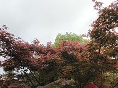 -听风阁农家私房菜茶楼(龙坞店)