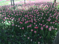 -长春公园(普阳街道)