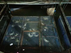 -珍宝蟹舫·巴城味道(巴城总店)