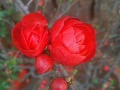 -又见炊烟．纳西小院云南菜