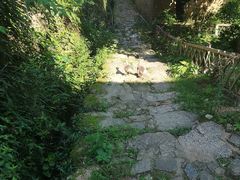 -杨家堂村