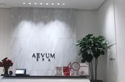-奥斯芬欧系贵族SPA