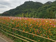 -贵阳市花溪国家城市湿地公园
