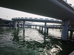 -演武大桥观景平台