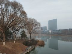 -大兴滨河森林公园