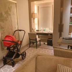 -巍阁高端月子会所