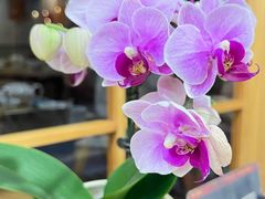 -佛有缘素食馆·荔湾老字号(陈家祠首店)