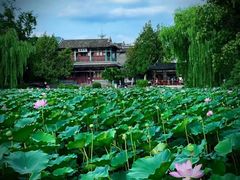 -莲池书院博物馆