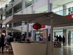 -上海市第一人民医院(松江南部)