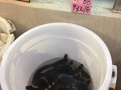 -荔城生鲜盛宴(番禺旗舰店)