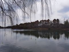 -上海怡沁园度假酒店