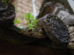 -田德能咖啡博物馆