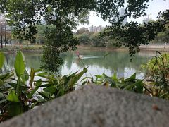 -燕晗山郊野公园
