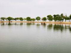 -鄱阳湖国家湿地公园