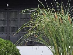 -绮园景区