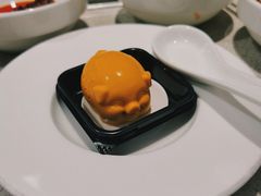 hi芒果小金猪-海底捞火锅(大融城店)