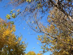 -好利来(马家堡店)