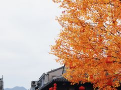 -紫阳古街