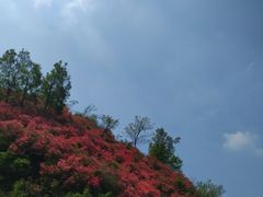 -木兰云雾山