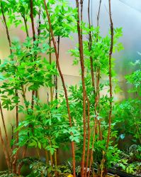 -好友缘酒家·宴会厅(西大店)