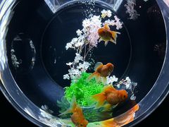 -三越百货(三越银座店)