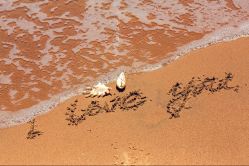 -IDO婚纱摄影(上海旗舰店)