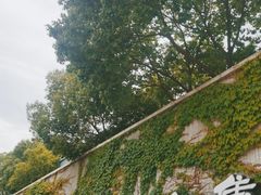 -苏州本色美术馆