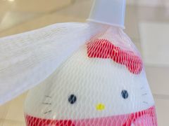 -鹏欣水游城