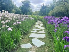 -上海共青森林公园