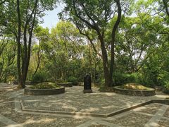 -上海佘山国家森林公园天马山园