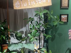 -Thai Basil罗勒叶泰式餐厅(时代天街店)