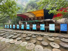 -十渡东湖港风景区