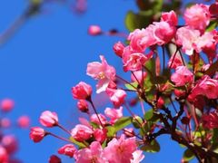 -西部兰花园生态园