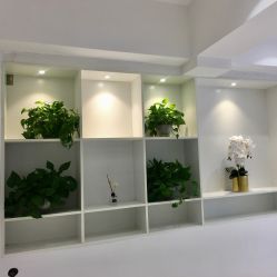 -MIVI半永久纹眉绣眉