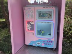 -上海海湾国家森林公园