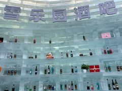 -长春世界雕塑园冰雪艺术天地