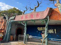 -上海海湾国家森林公园