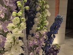 -浅深Cheersum(曹杨店)