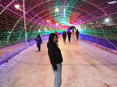 -沈阳奥体冰雪嘉年华