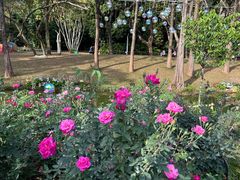 -人民公园(罗湖区)